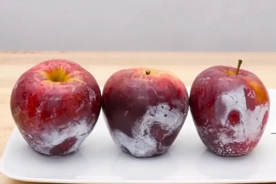 Táo ngâm hóa chất