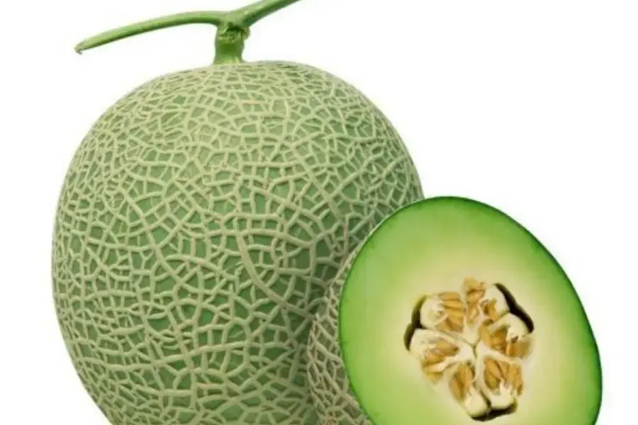 Dưa lưới Tú Thanh
