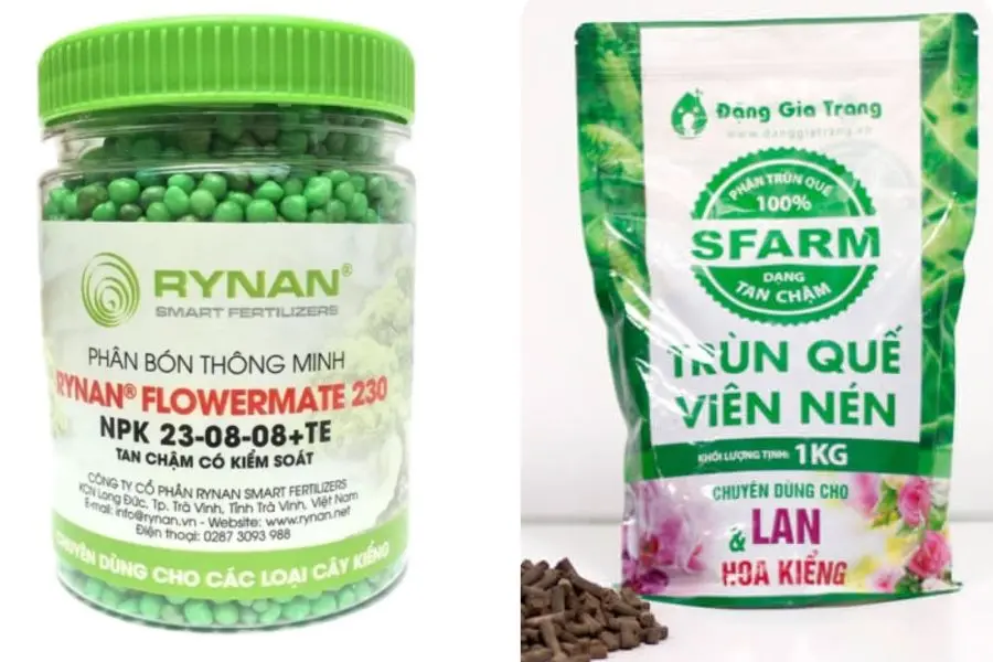 Phân bón sen đá