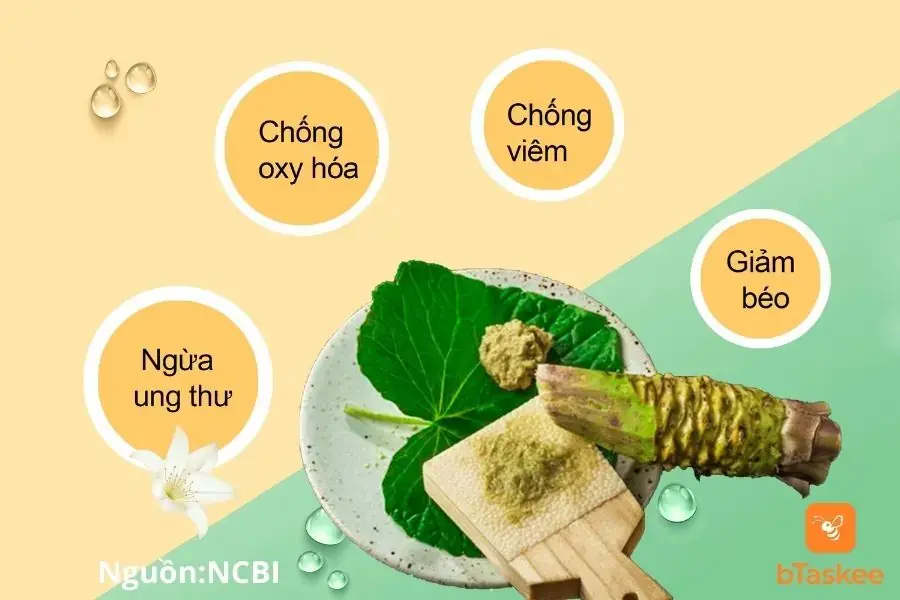 Công dụng tuyệt vời của củ mù tạt