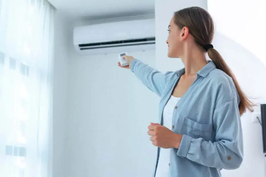 Chỉ cần bạn muốn, bạn có thể điều khiển cho máy lạnh tự vệ sinh bất cứ lúc nào (Hình ảnh: spxvietnam)