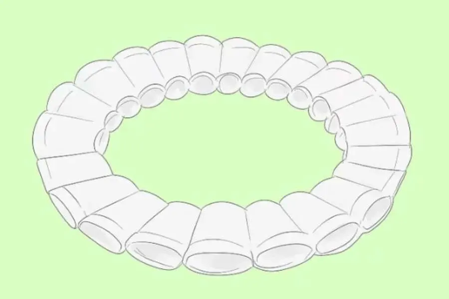 Cố định các chiếc cốc với nhau để tạo một hình vòng tròn.