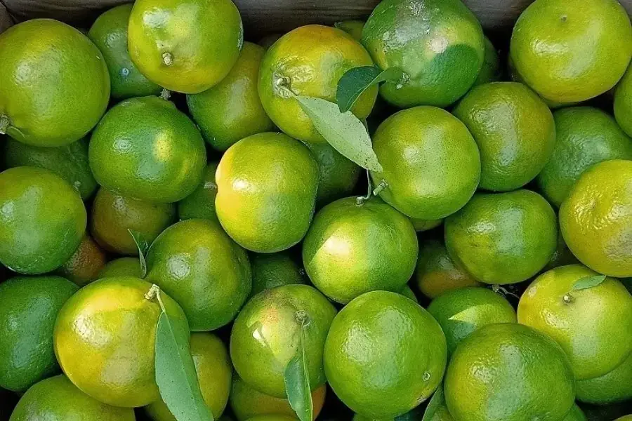 Màu sắc vỏ quýt ngon
