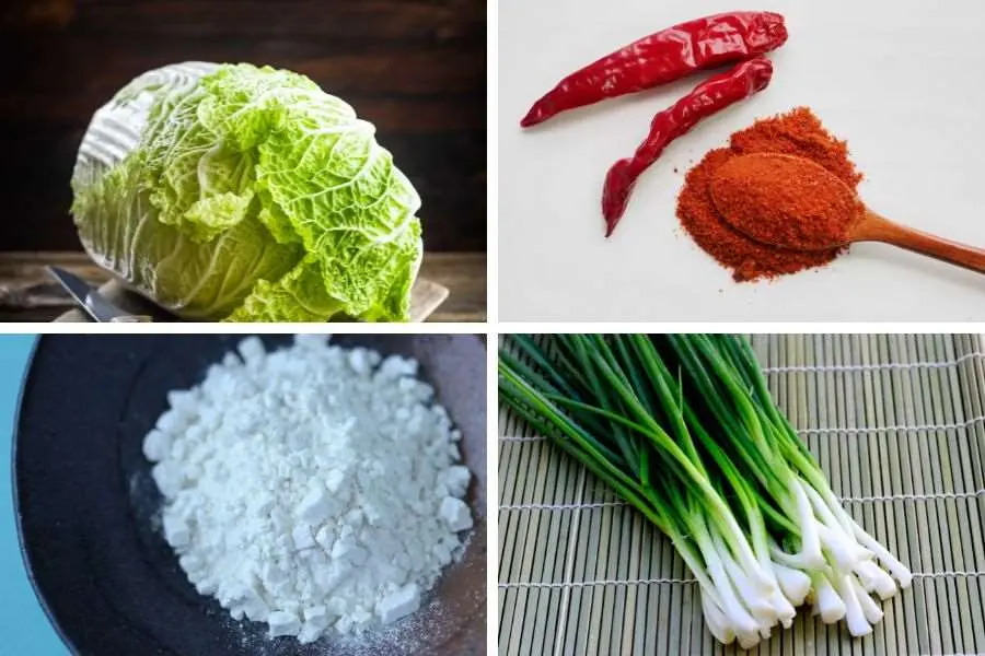 Các nguyên liệu cần chuẩn bị để làm kim chi.
