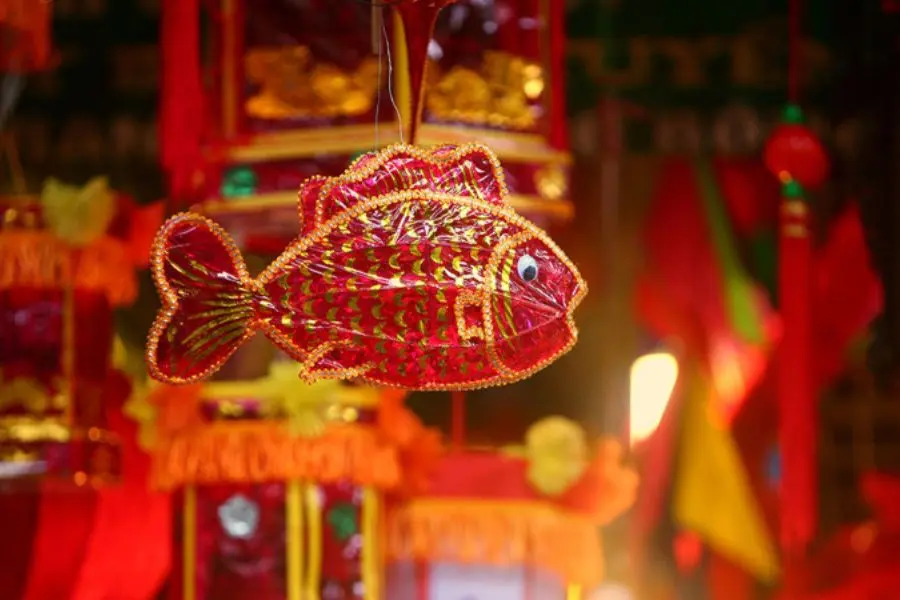 Ánh đèn cá chép soi sáng những ước mơ của tuổi trẻ.