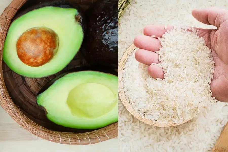 Để bơ trong thùng gạo và đậy kín nắp.