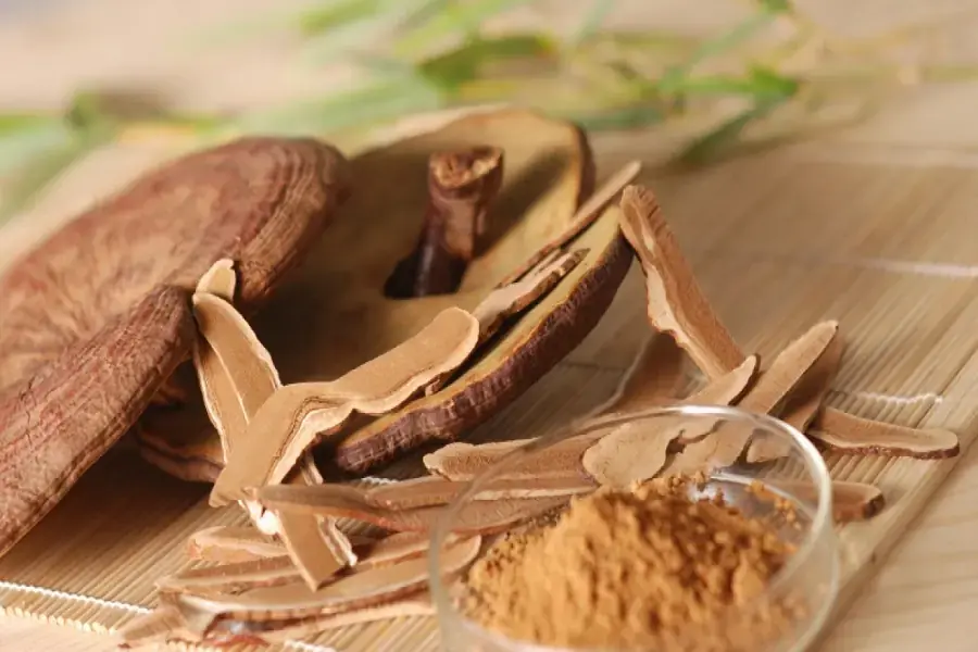 Bảo quản nấm linh chi bằng cách sấy khô bình thường