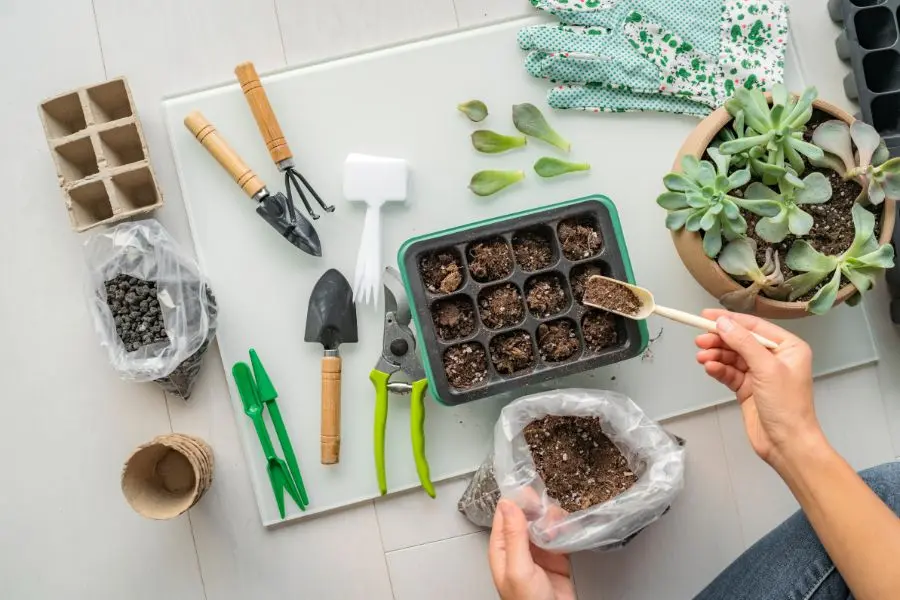 Một số dụng cụ cần thiết khi trồng sen đá