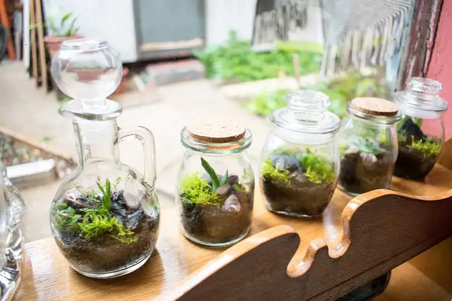 Trang trí cửa sổ bằng chai thuỷ tinh được tái sử dụng
