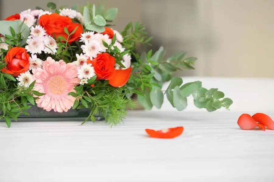 Hoa đồng tiền biểu tượng của sự giàu có.