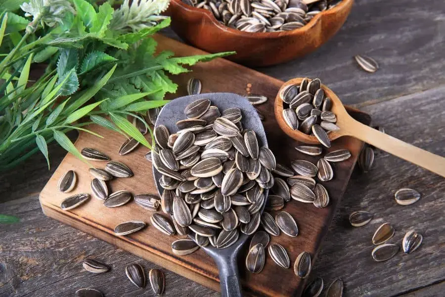 Ăn nhiều hạt hướng dương sẽ phá hủy men răng, gây ho khan, mất tiếng.