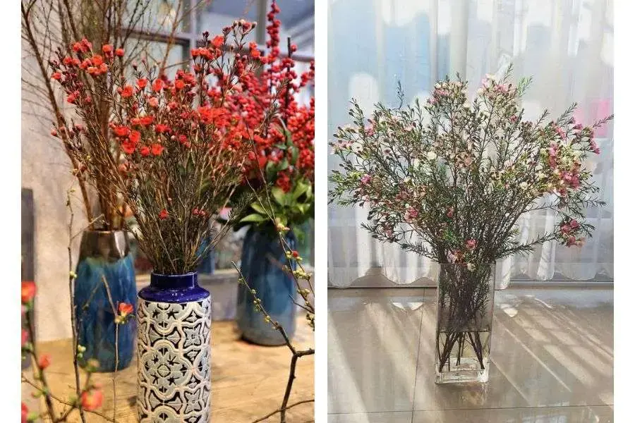 Cắm hoa thanh liễu ngày tết