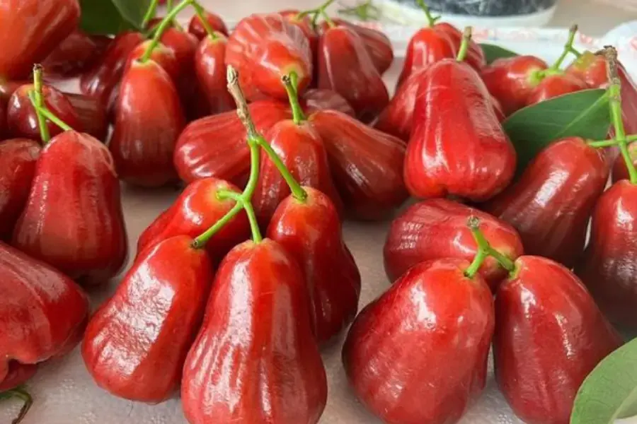 Mận thường biết đến với sự ngọt ngào và may mắn.