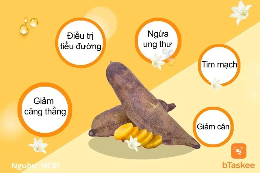 Công dụng của củ sâm đất