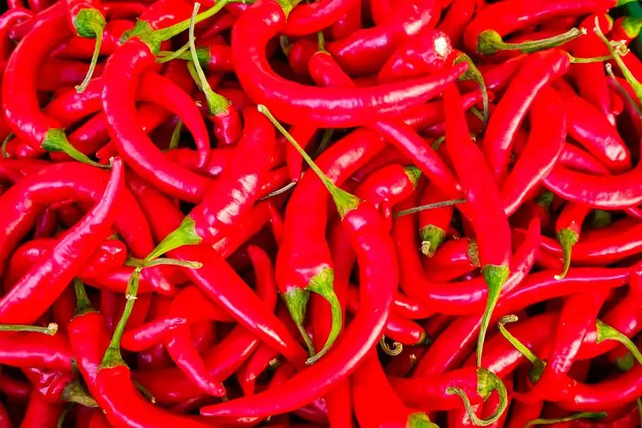 Dùng ớt để đuổi mọt ra khỏi thùng gạo là phương pháp khá đơn giản và hiệu quả