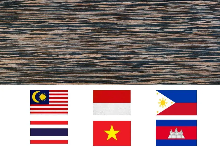 Những nơi phân bố phổ biến của cây gỗ