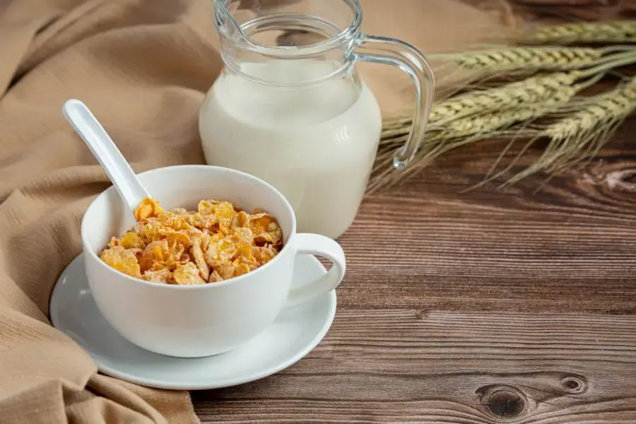 Ngũ cốc và sữa tươi không đường
