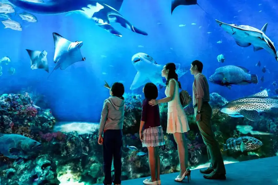 Hình ảnh bên trong khu vực thủy cung Time City.