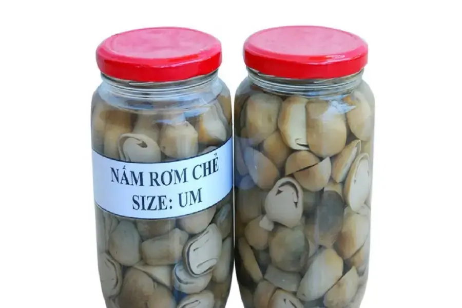 Bảo quản nấm rơm bằng cách ngâm muối
