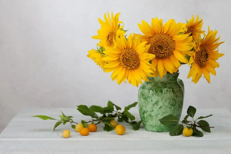 Hoa hướng dương tượng trưng cho tinh thần lạc quan, sức sống tuổi trẻ.