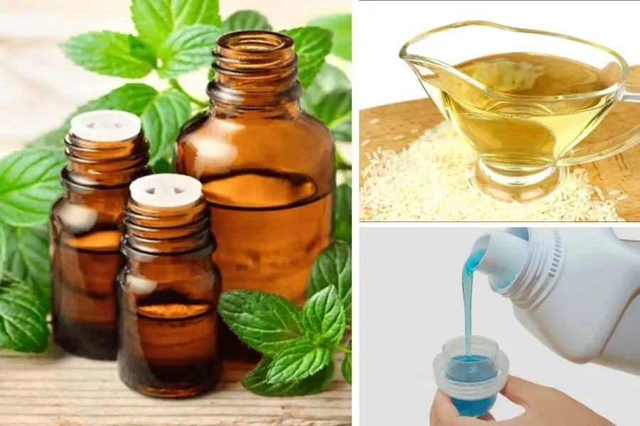 Kết hợp giấm - nước xả vải - bạc hà để đuổi kiến