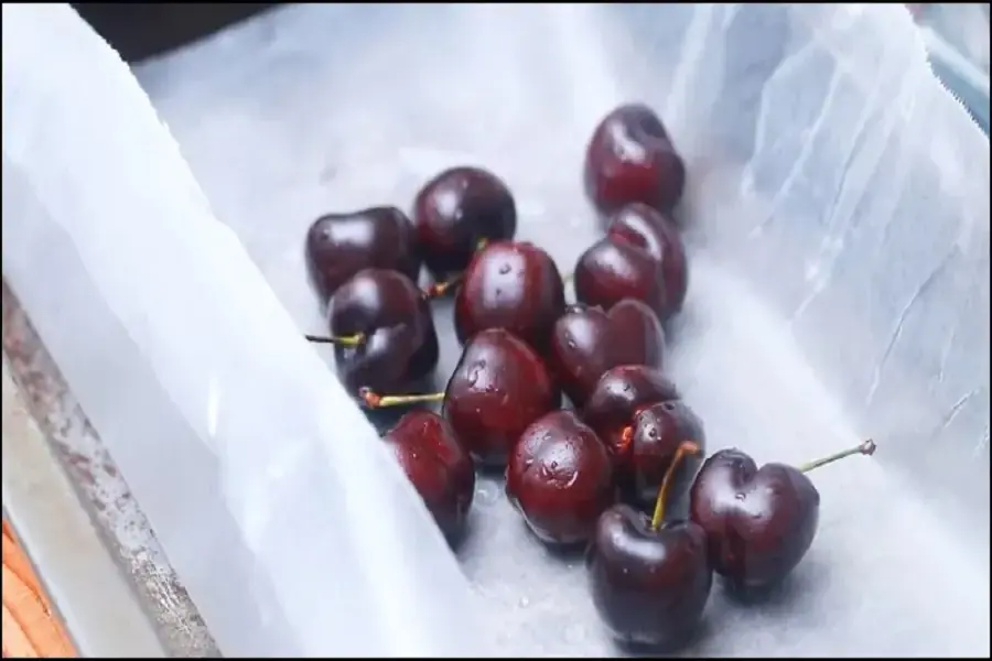 Cách bảo quản cherry cho nhà cung cấp