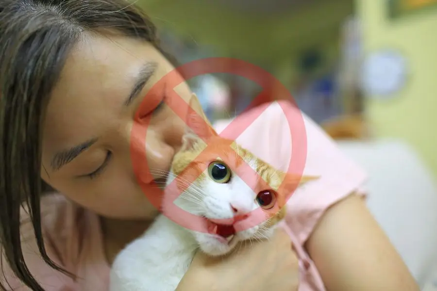 Không cố gắng tiếp xúc hoặc chọc ghẹo khi mèo không muốn vuốt ve hoặc chơi.