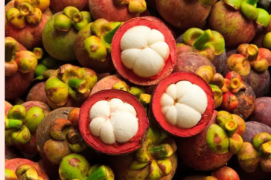 Phần thịt bên trong măng cụt chia thành nhiều múi mọng nước có màu trắng sáng