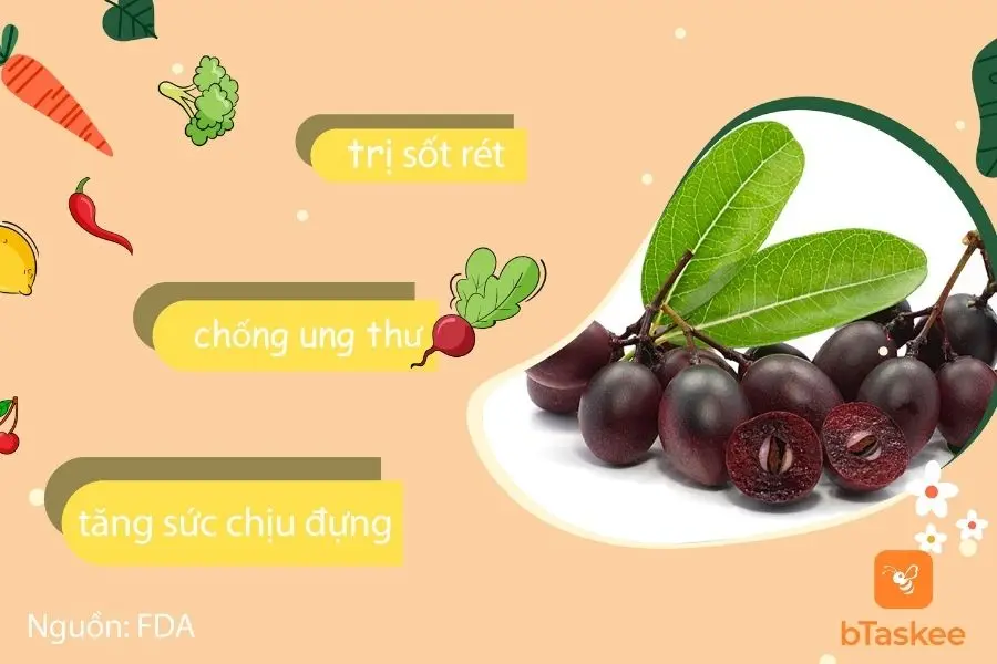 Công dụng của quả si rô
