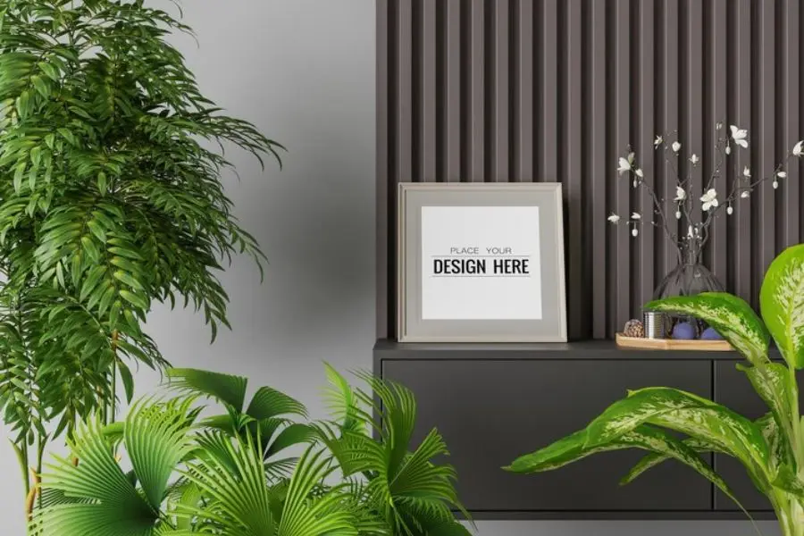 Cây xanh trong văn phòng cần được tưới nước đều đặn