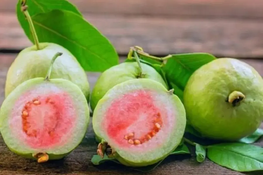 Màu sắc ổi chín