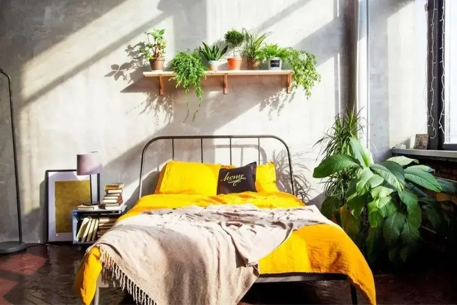 Cây xanh đem đến một không khí trong lành, dễ chịu