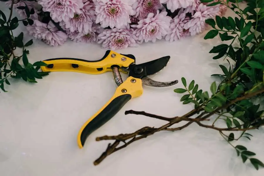 Cắt tỉa các bông hoa theo kích cỡ từ ngắn đến dài