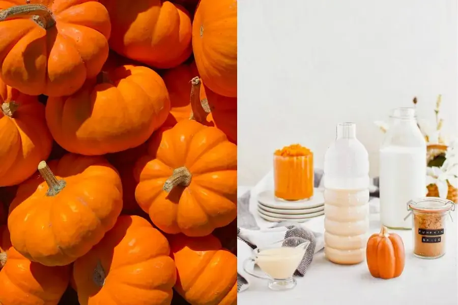 Thật tuyệt vời nếu nhâm nhi một ly sữa bí đỏ nóng vào buổi sáng.