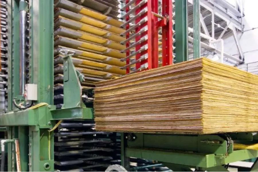 Sản xuất gỗ ép Plywood bằng những máy móc hiện đại