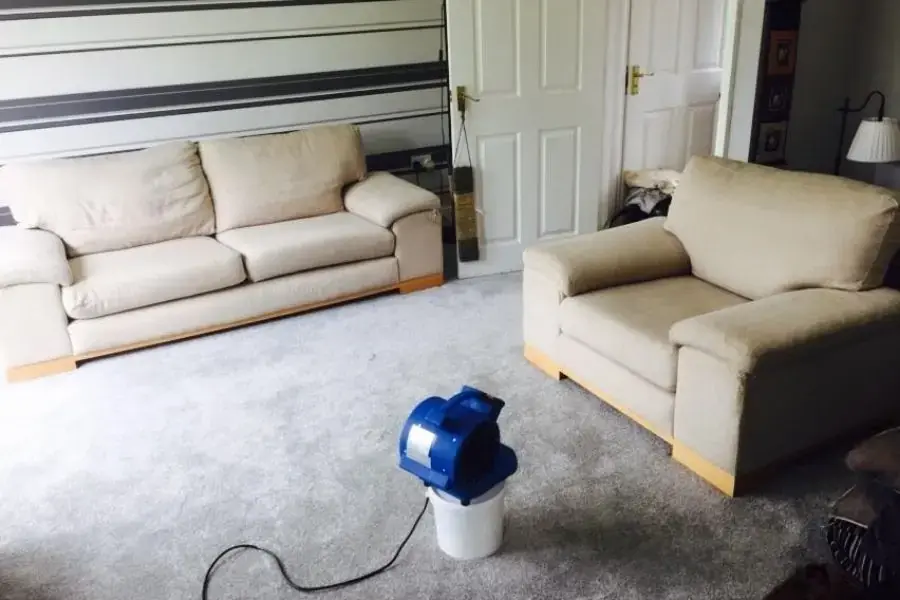 Bạn hãy làm khô ghế sofa sau khi vệ sinh tránh gây ẩm mốc và làm hỏng lớp da bọc