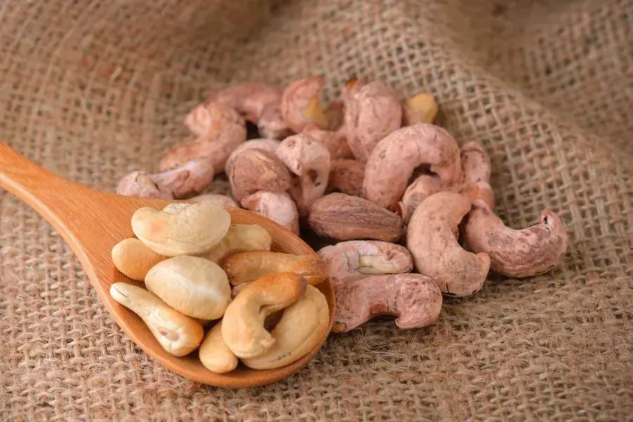 Chỉ nên ăn 28 - 30 gram hạt điều mỗi ngày.