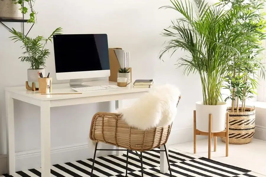 Chọn cây để bàn có màu sắc tương sinh với mệnh Hỏa