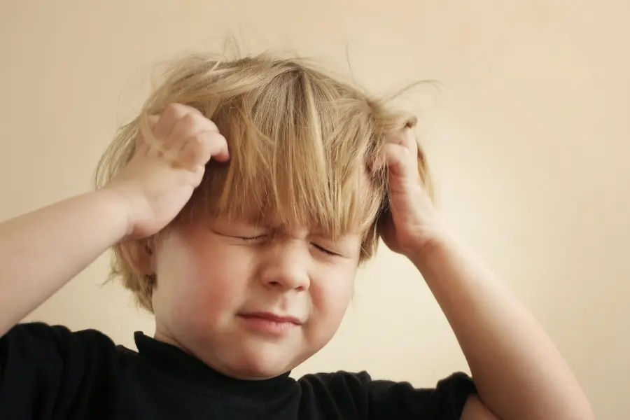 Trẻ em rất dễ bị nhiễm chấy