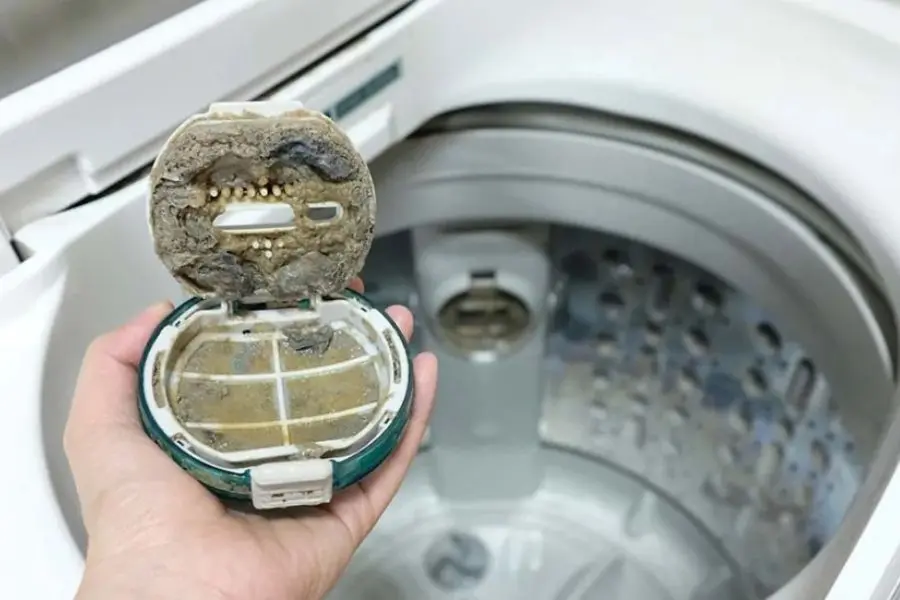 Bộ lọc là nơi chứa nhiều cặn bẩn và vi khuẩn cứng đầu.