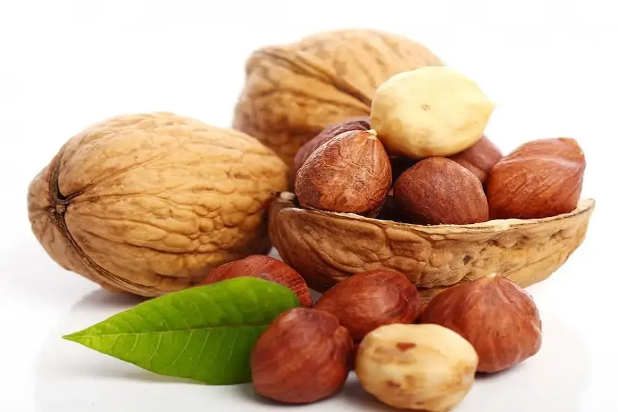 Ăn hạt dẻ không béo mà còn rất tốt cho cơ thể.