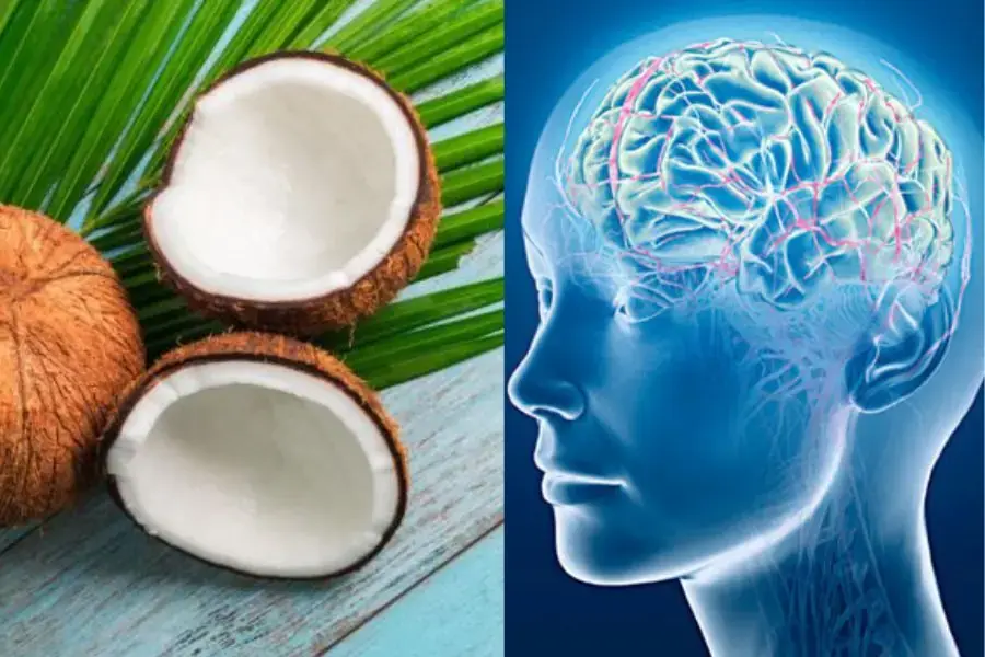 Hoạt động của não bộ sẽ tốt hơn nhờ chất dinh dưỡng trong cùi dừa.