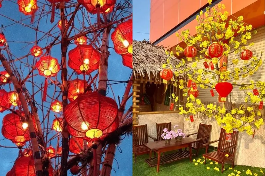Bạn nên chú ý lựa chọn loại lồng đèn phù hợp với kích thước của cây Tết.