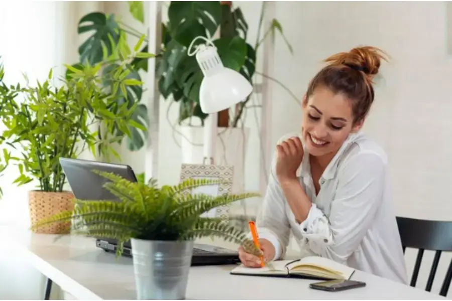 Cây xanh được trang trí trong nhà mang lại cảm giác tích cực