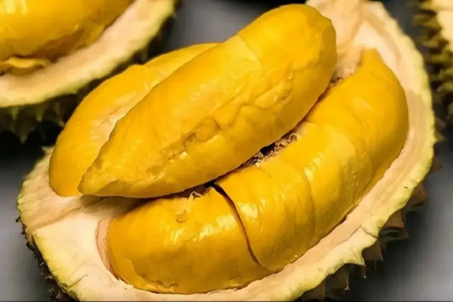 Sầu riêng là vua trái cây được nhiều người yêu thích.