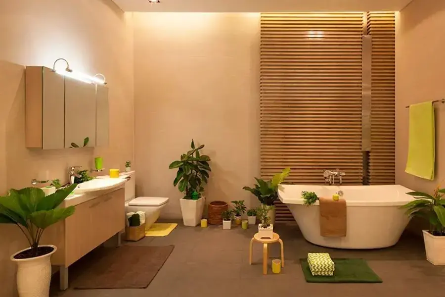 Một số loại cây có thể trồng trong nhà vệ sinh còn mang ý nghĩa về phong thủy