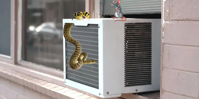 Côn trùng có thể là nguyên nhân làm máy lạnh có mùi hôi (Hình ảnh: Pestcure)