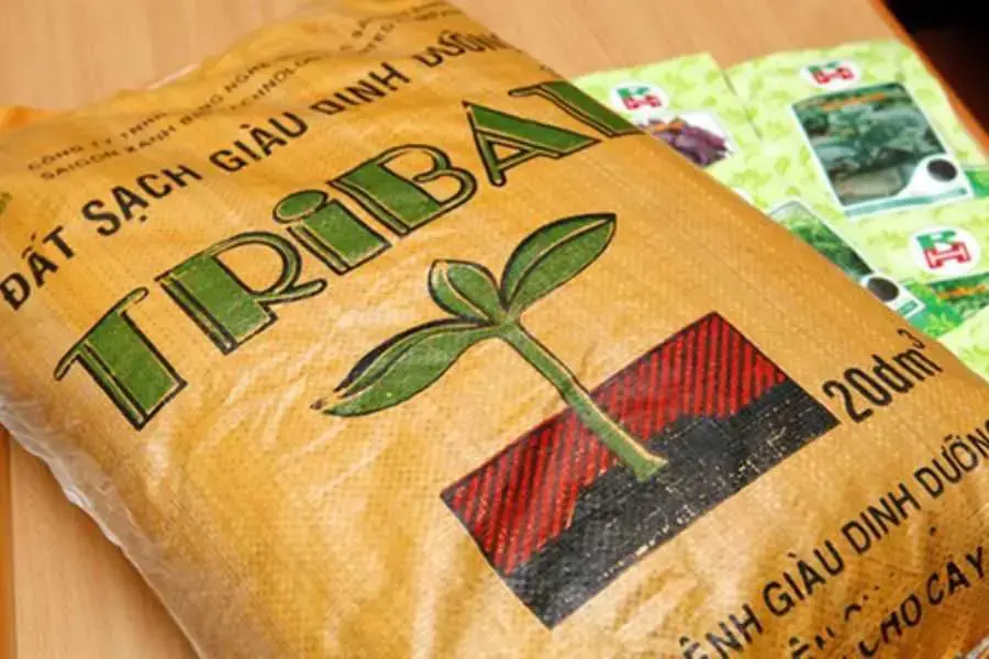 Bạn có thể chọn đất tribat để giâm cành