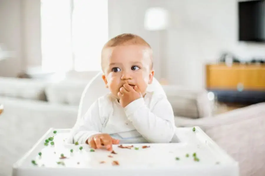 Cho bé ăn dặm ở dạng lỏng hoặc nghiền thật nhuyễn