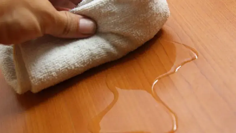 Ngay khi phát hiện mèo tè, bạn cần lập tức lau khô nước tiểu